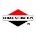 Briggs & Stratton