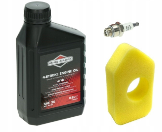 Olej do kosačky - Filtrovacia olejová sviečka Briggs séria 350 400 450 500 550