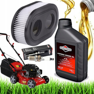 Olej do kosačky Briggs & Stratton 100005E SAE30 0,6l