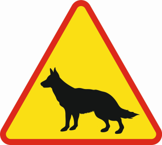 A18H Road Sign Poznámka DOG 600 mm